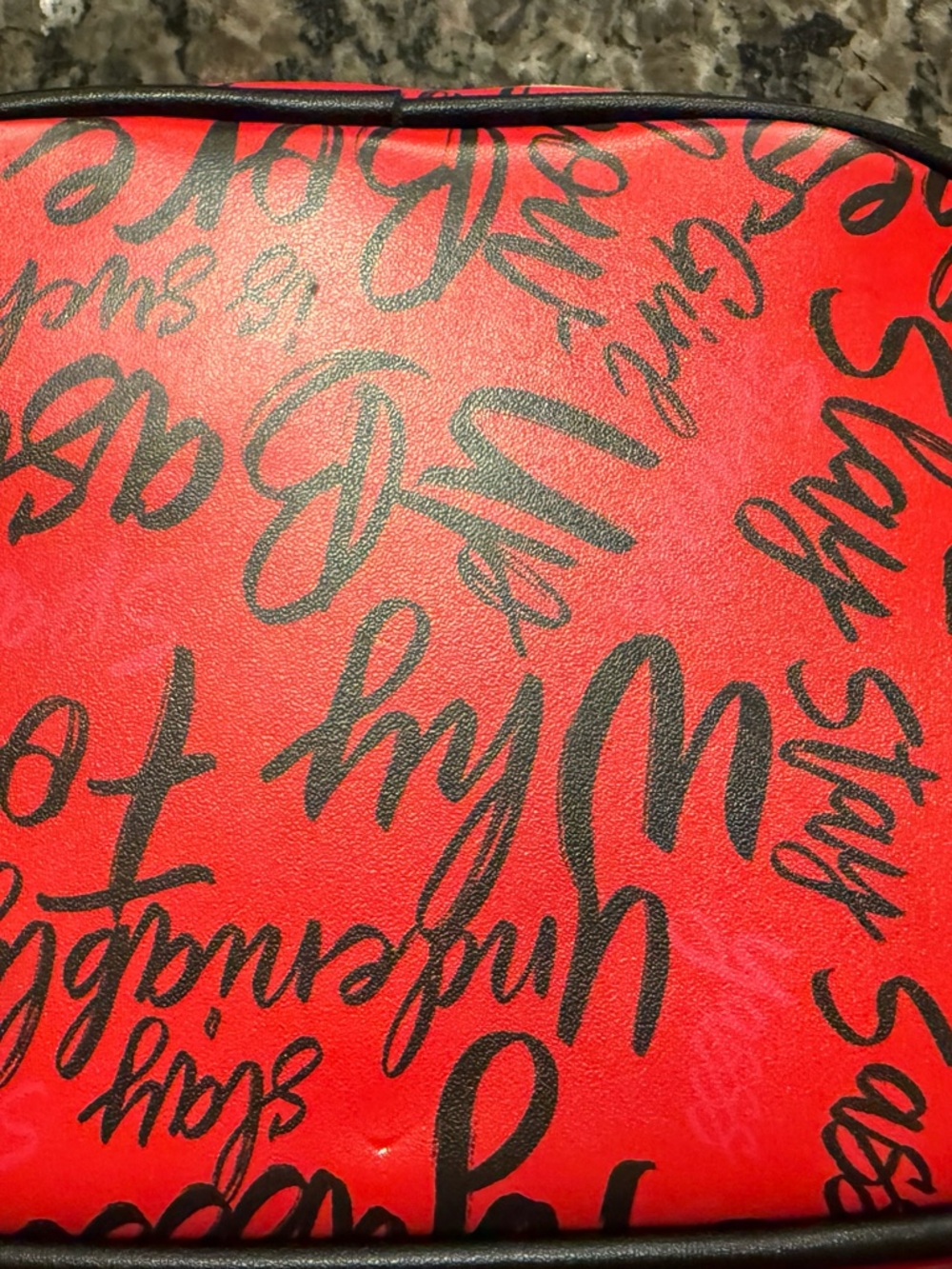 Sassy Jones Red Script Cosmetic Case with Metal Logo - Picture 7 of 11